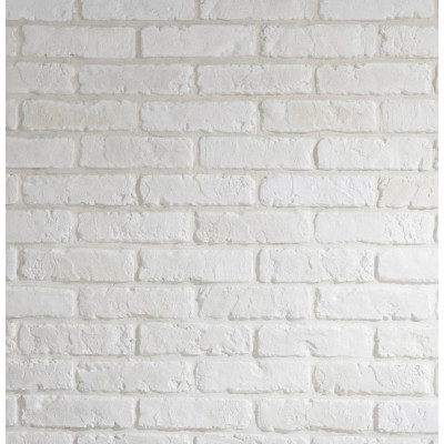 mur briques de parement blanches