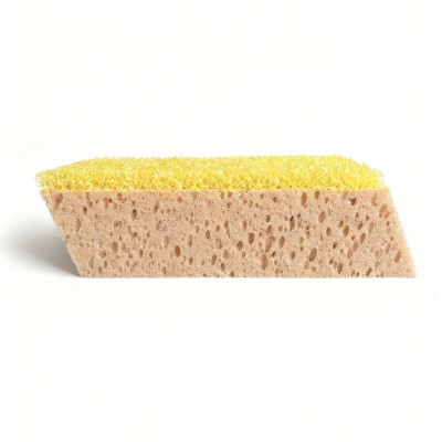 Eponge biseauté